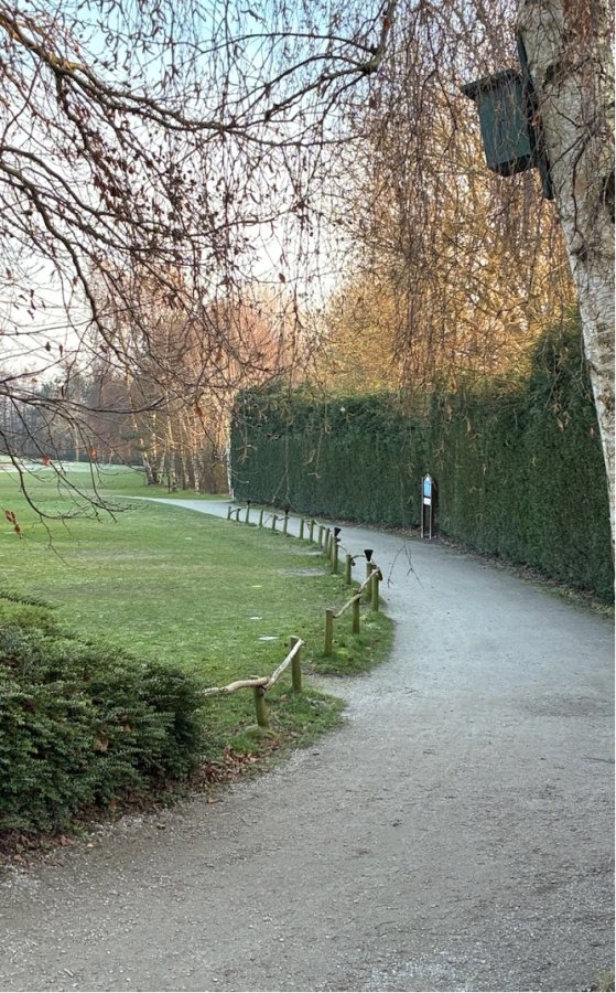 Vogelkastjes