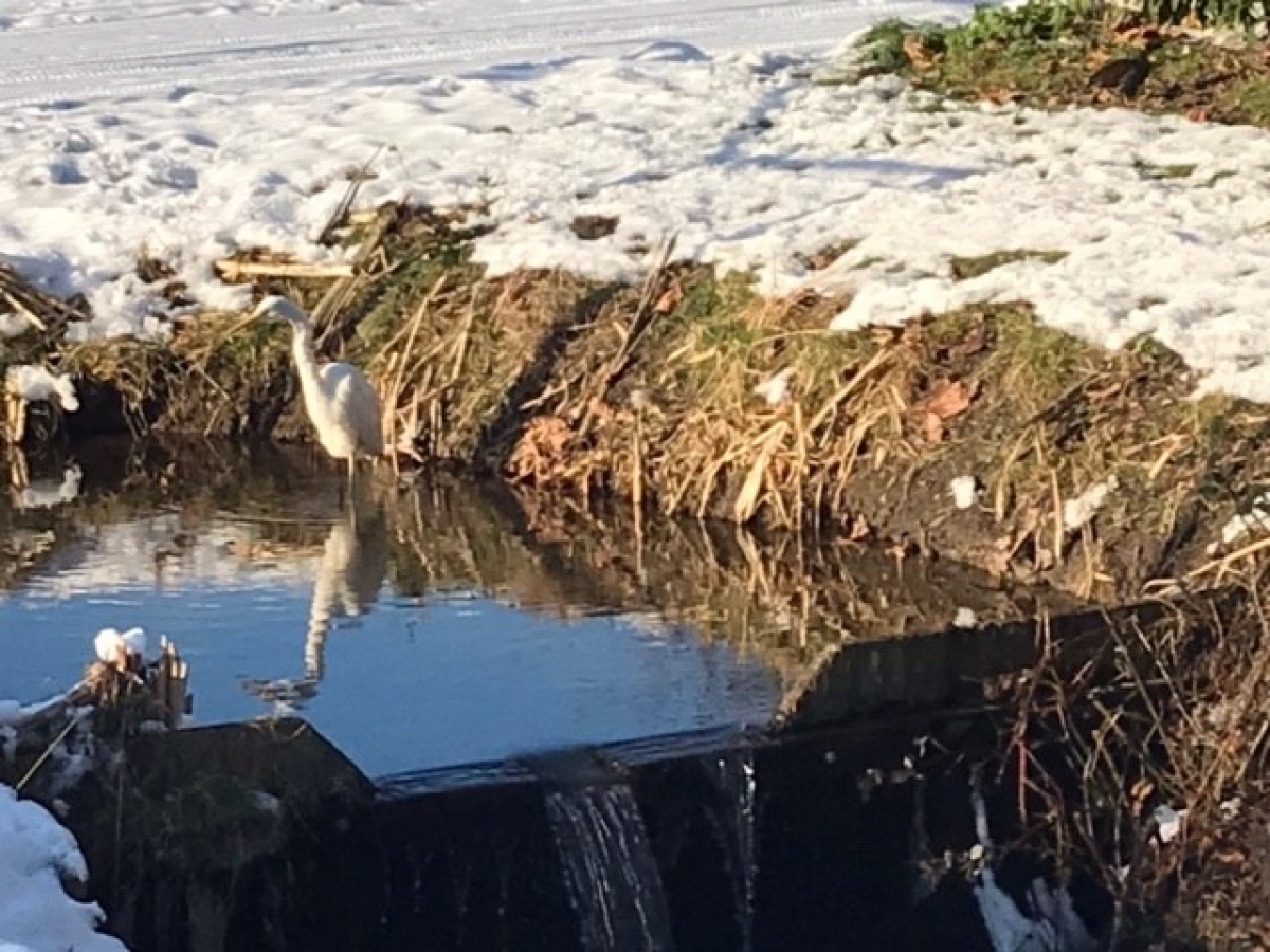 Van winter naar voorjaar