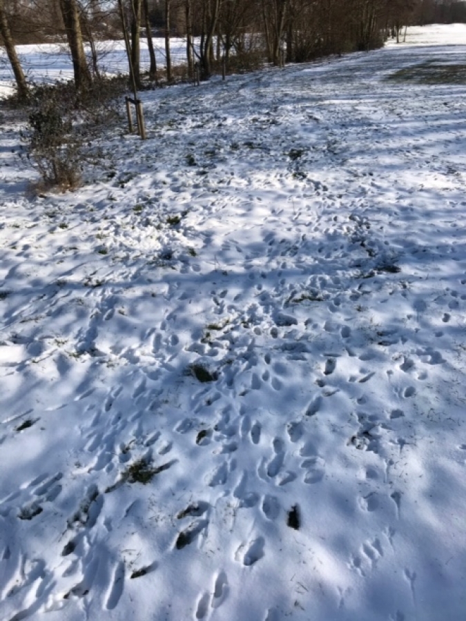 Van winter naar voorjaar