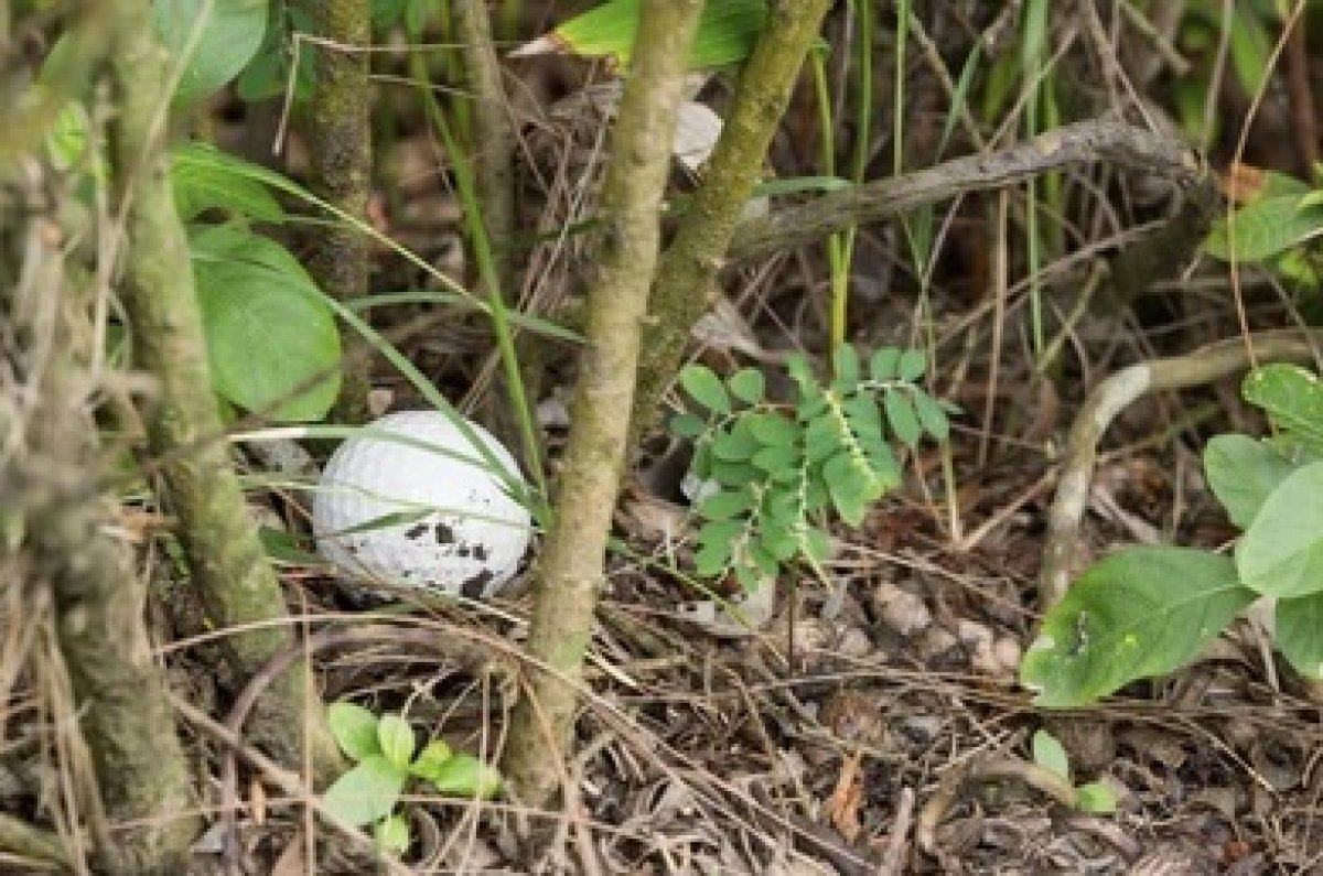 Rood in de baan – deel 3