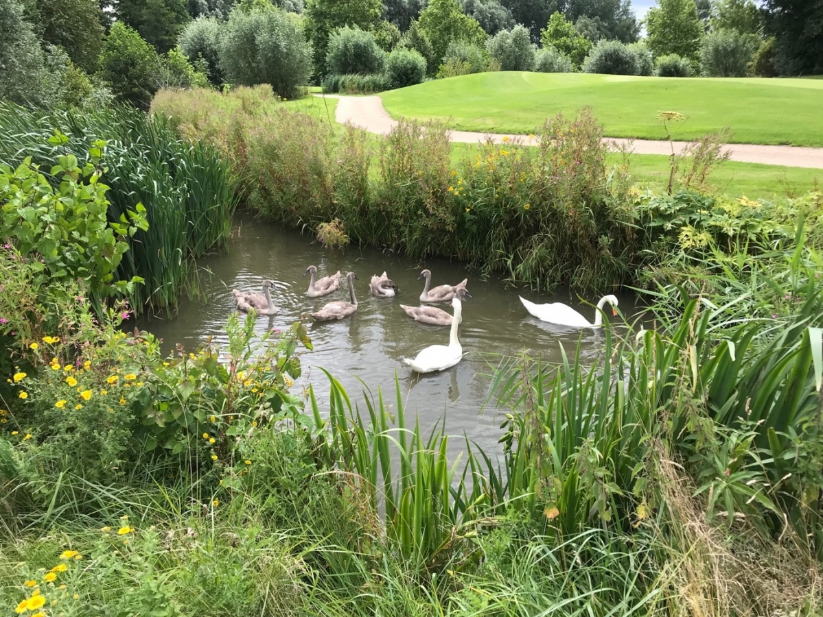 Zomerterugblik