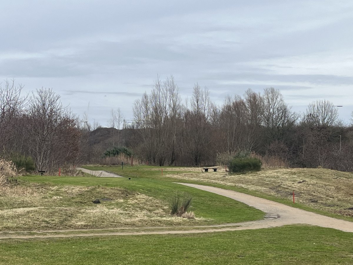 Rood in de baan - deel 4