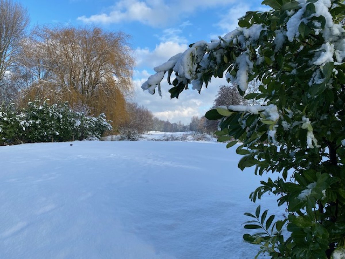 Winterwonderland op Leeuwenbergh