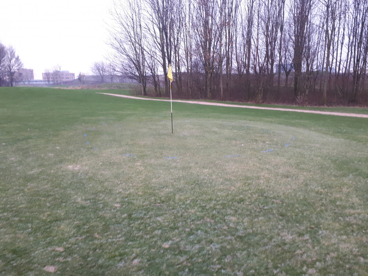 Winter greens