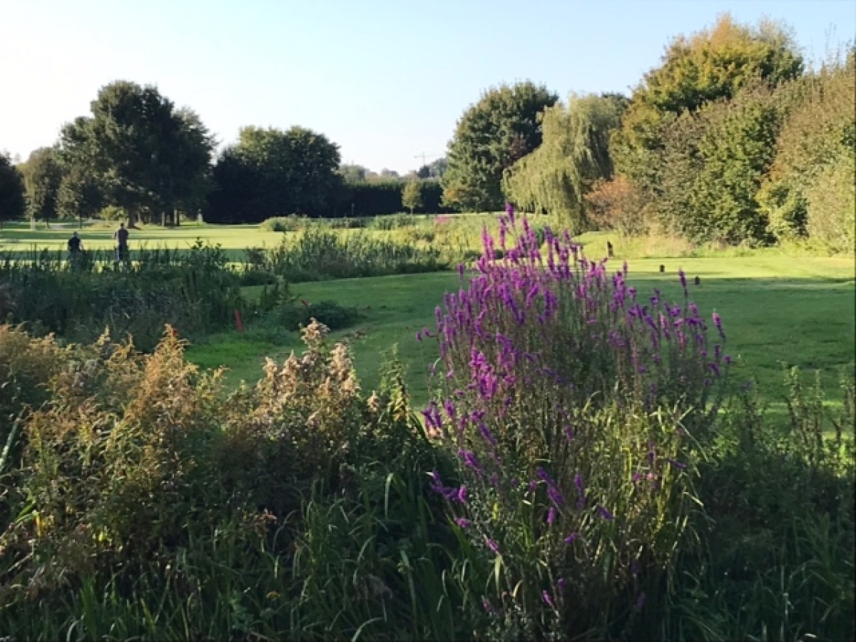 Natuur in de baan